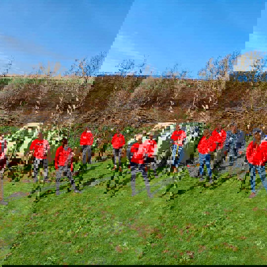 Jersey Tree Planting Nov 2020