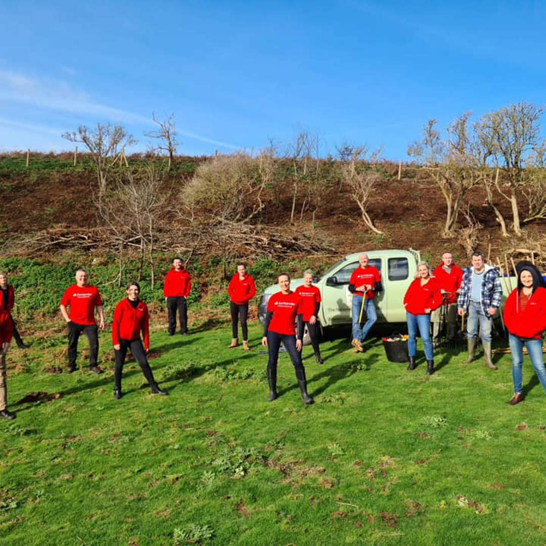 Jersey Tree Planting Nov 2020