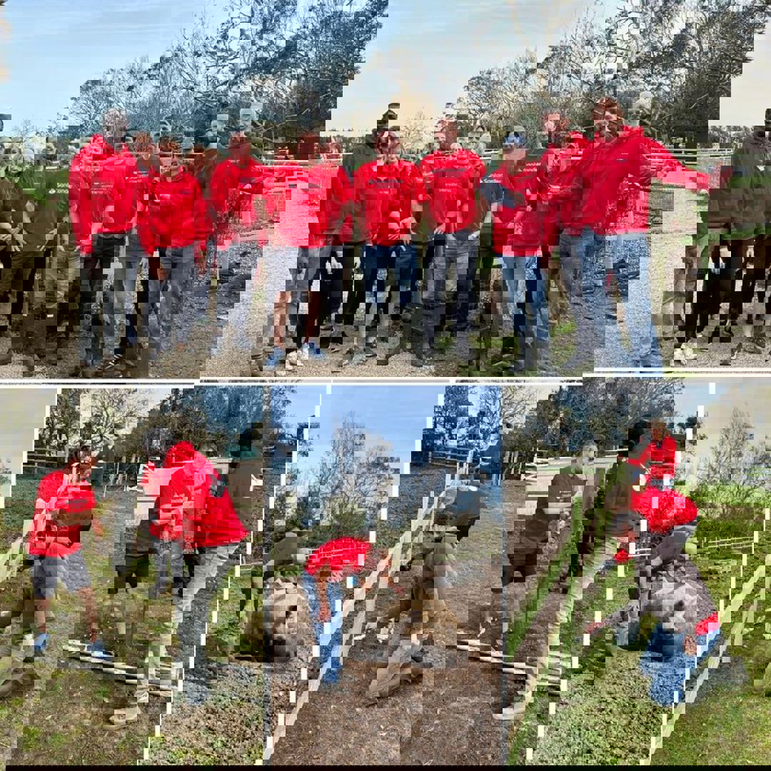 434056105 915834717208260 3834918679636824767 N