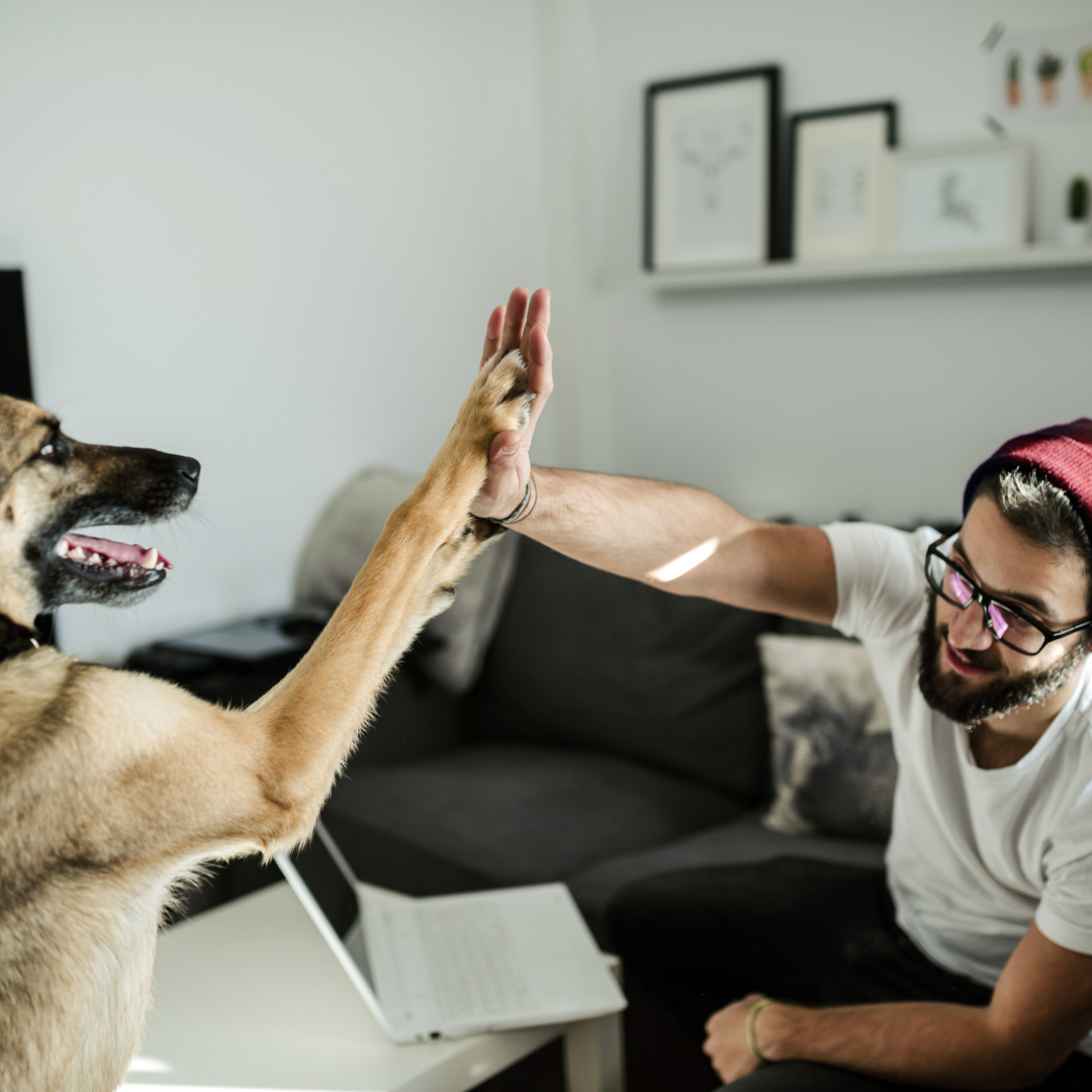 Man in beanie hat and glasses high-fiving dog